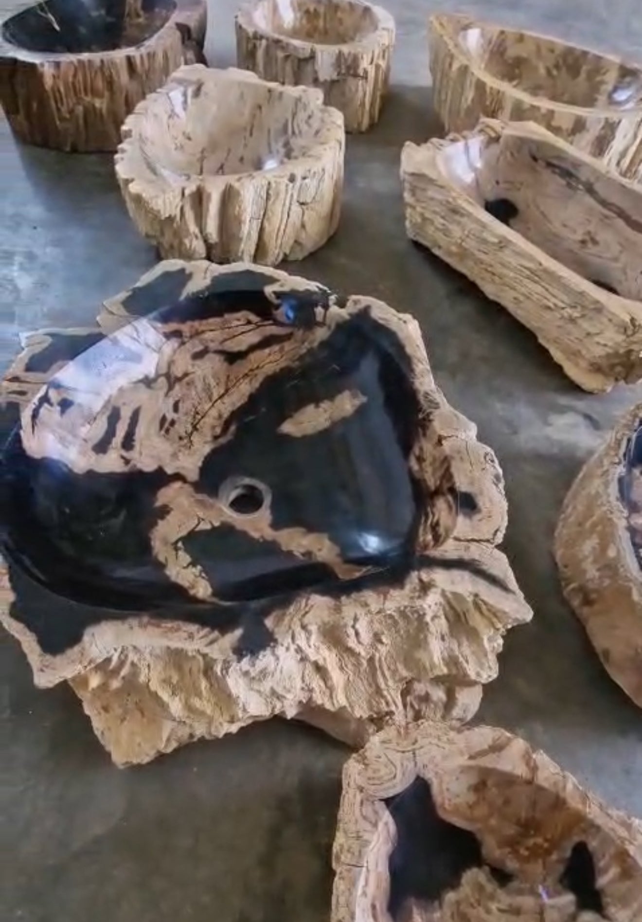 Sinks (Petrified Wood)