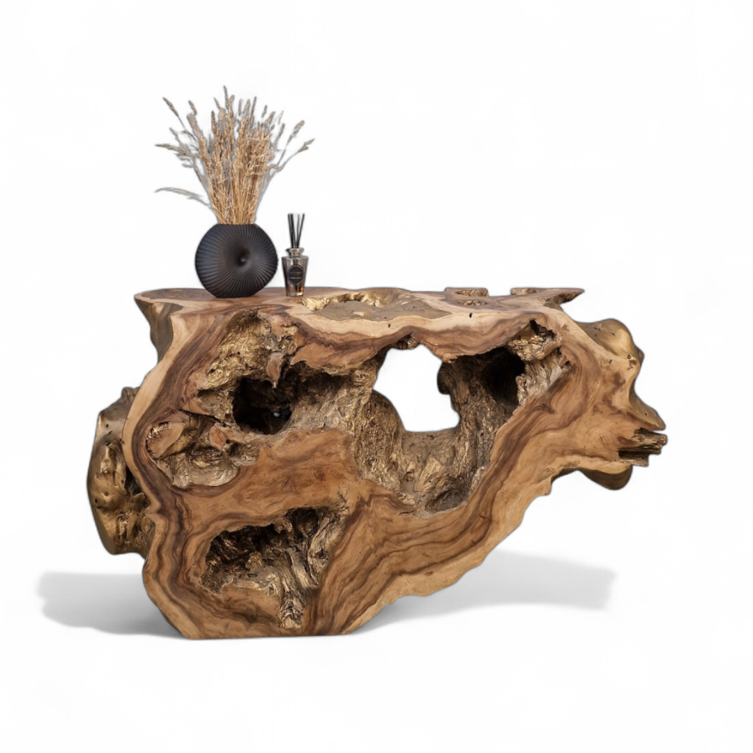 WO.10 Sculptural Suar Wood Console with Gold-Finished Accents
