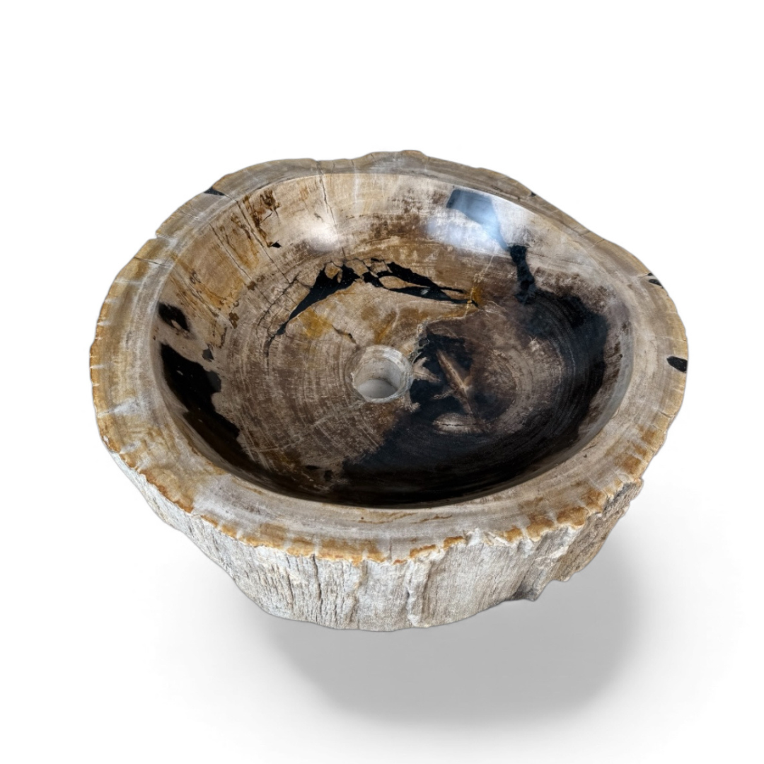WO.59-2 Freestanding washbasin made of petrified wood