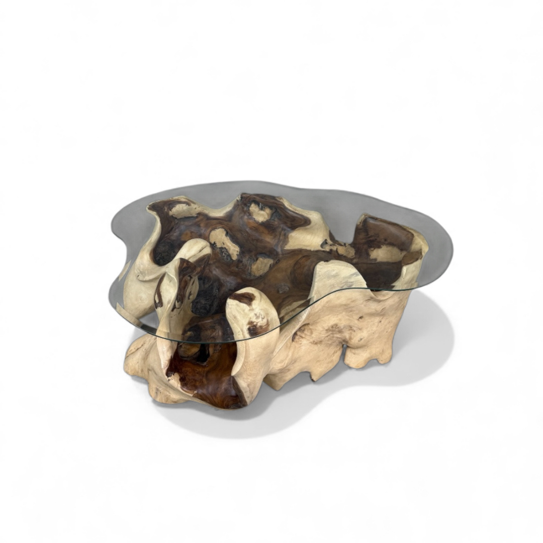 WO.48-2  One-of-a-Kind Suar Wood Coffee Table with Organic Glass Top