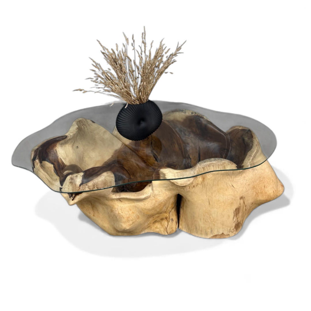 WO.48-1 Suar Wood Coffee Table with Organic Glass Top