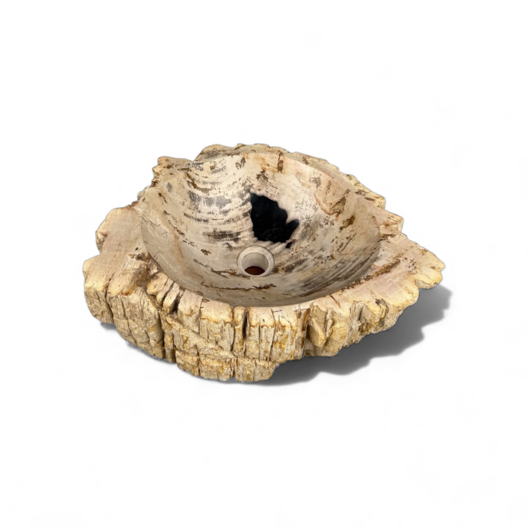 WO.59-1  Freestanding Sink Made of Petrified Wood