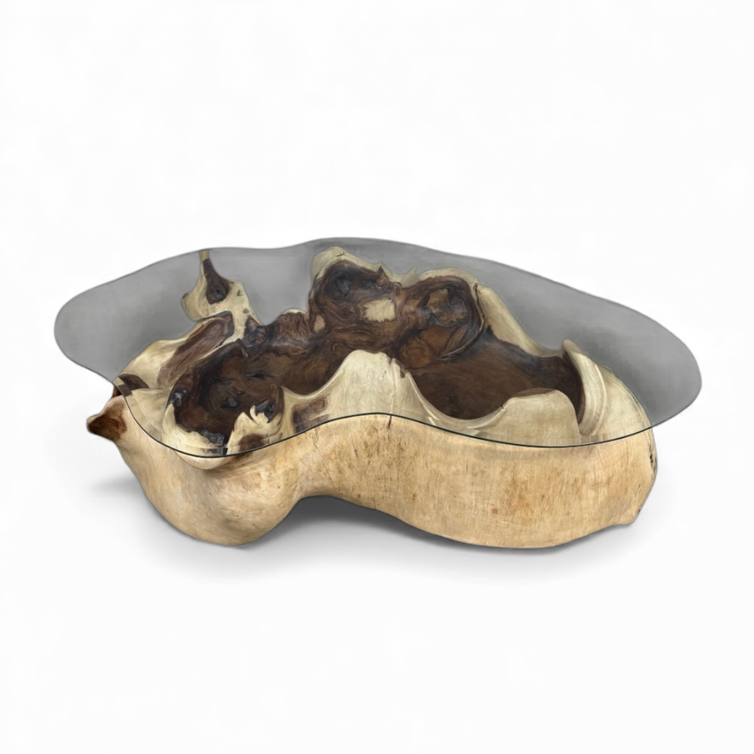 WO.39-2 One-of-a-Kind Suar Wood Coffee Table with Organic Glass Top