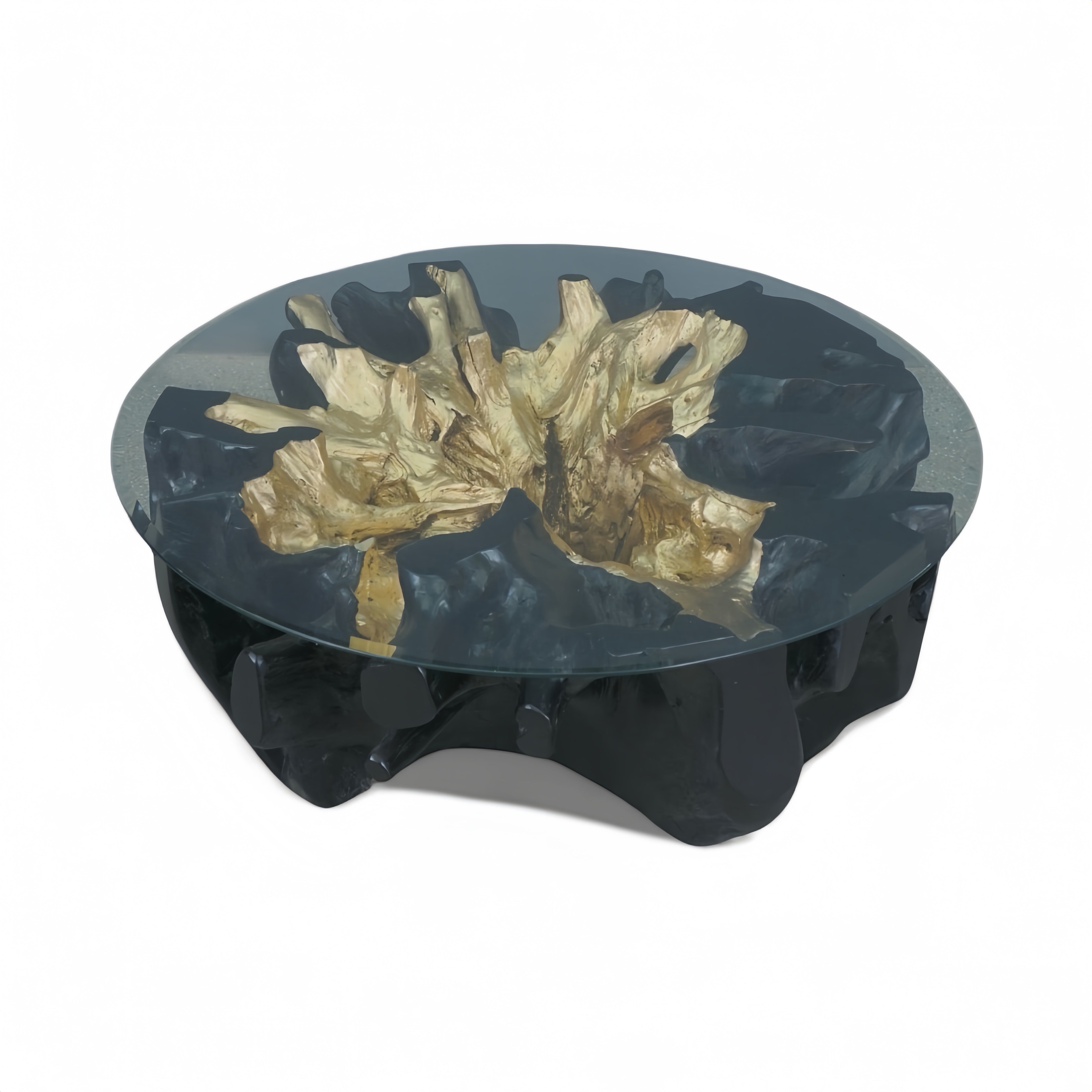 WO.2 Black & Gold Teak Root Coffee Table with Glass Top
