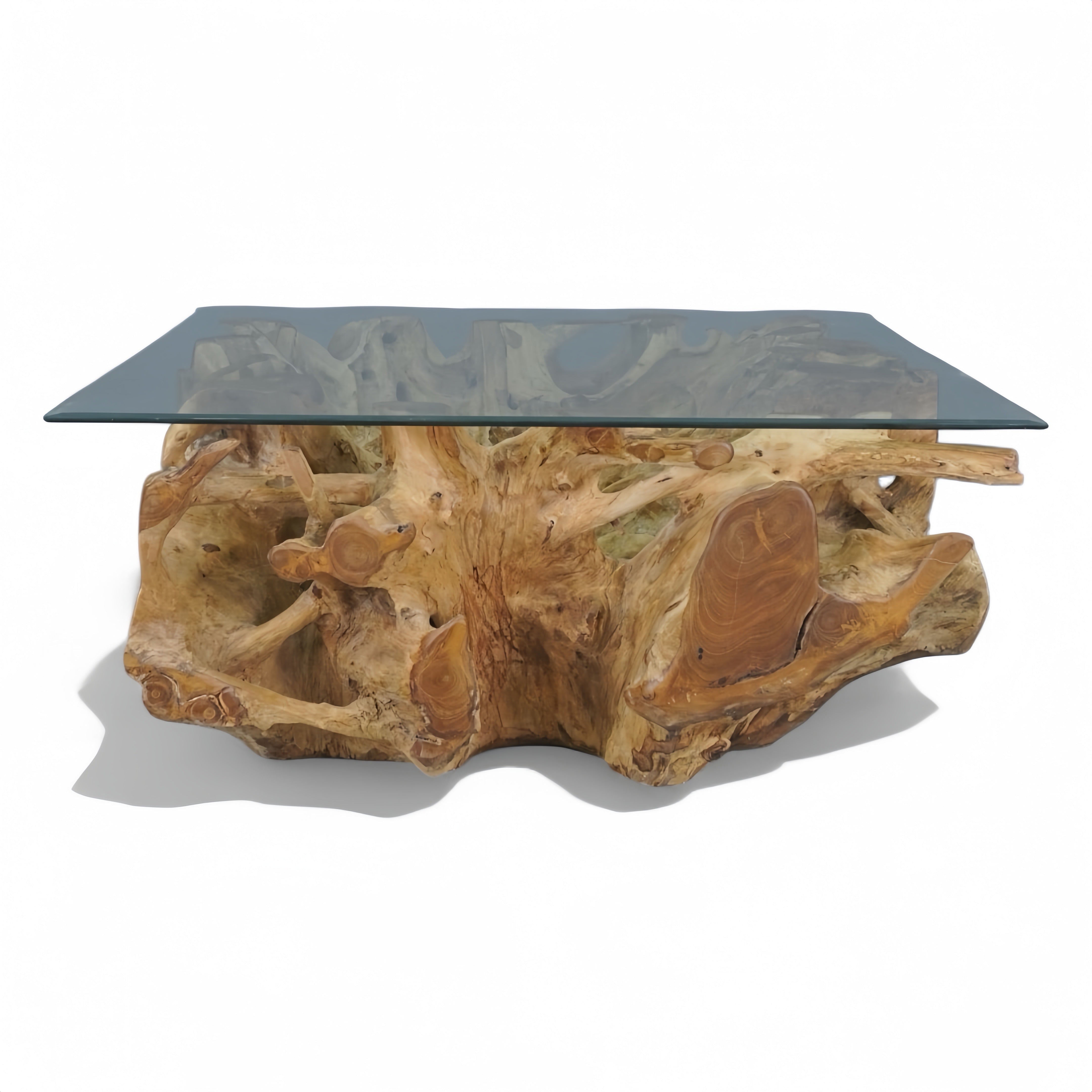 WO.53 Teak Root Coffee Table with Glass Top