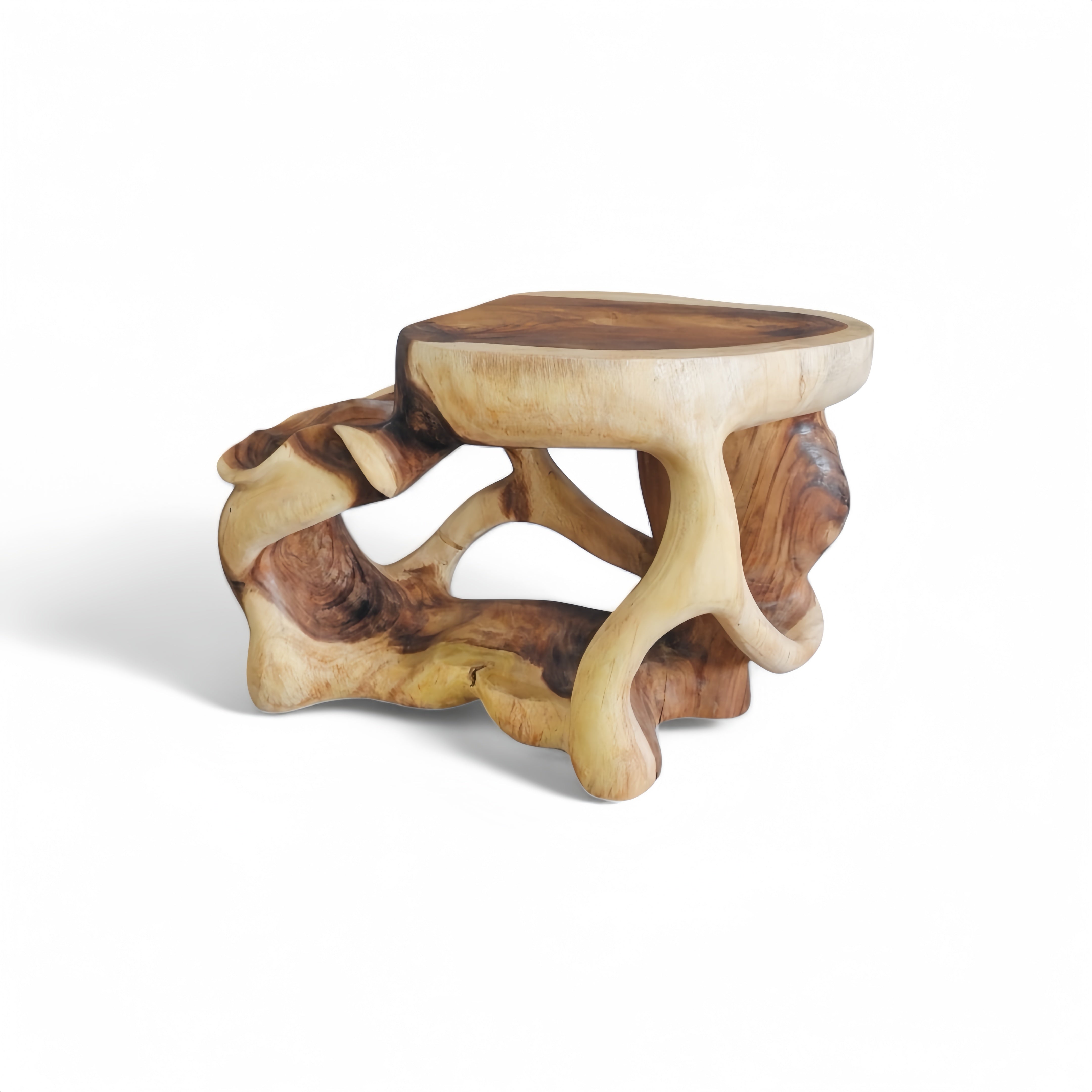 WO.33 Sculptural Suar Wood Coffee Table