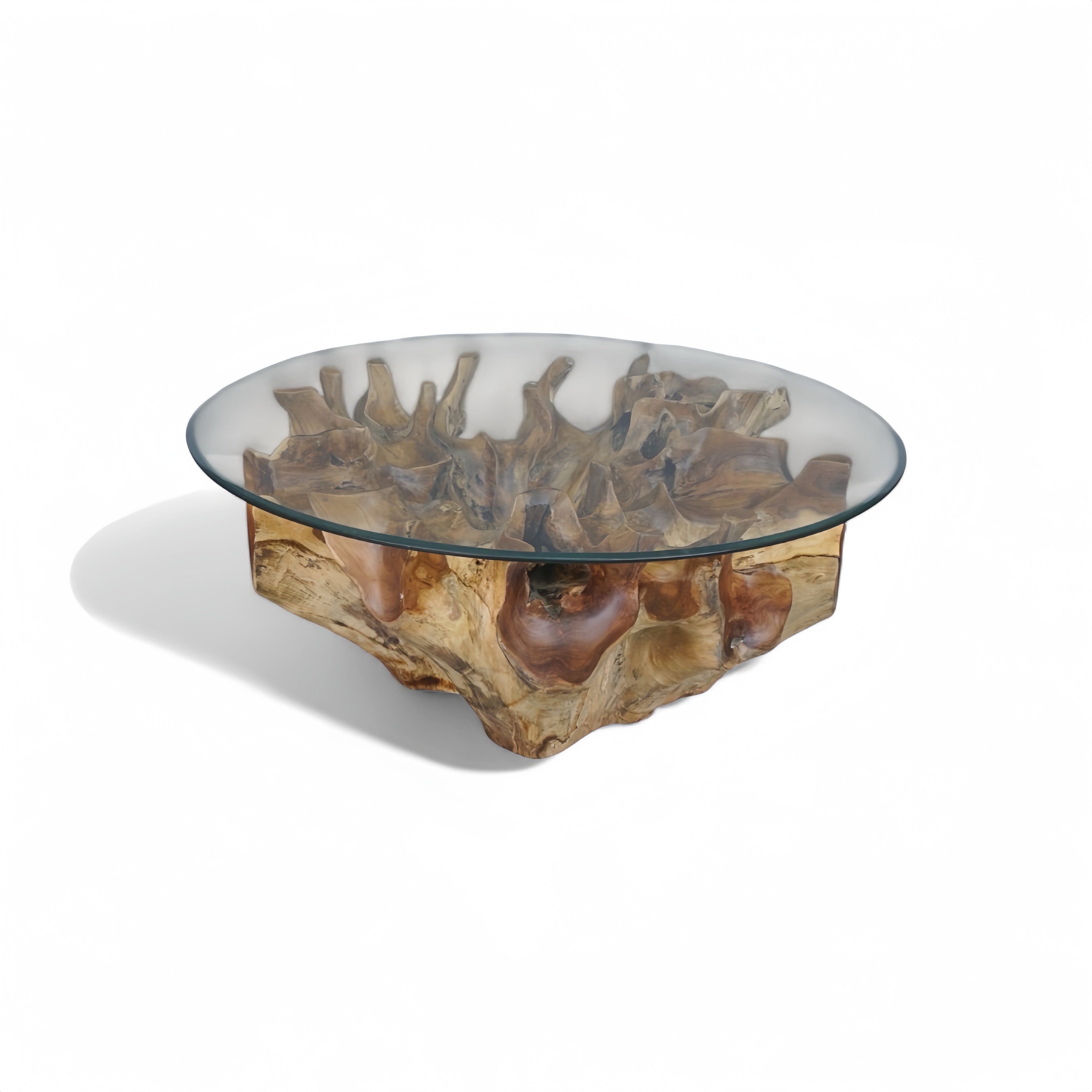 WO.4 Teak Root  Coffee Table with Clear Glass