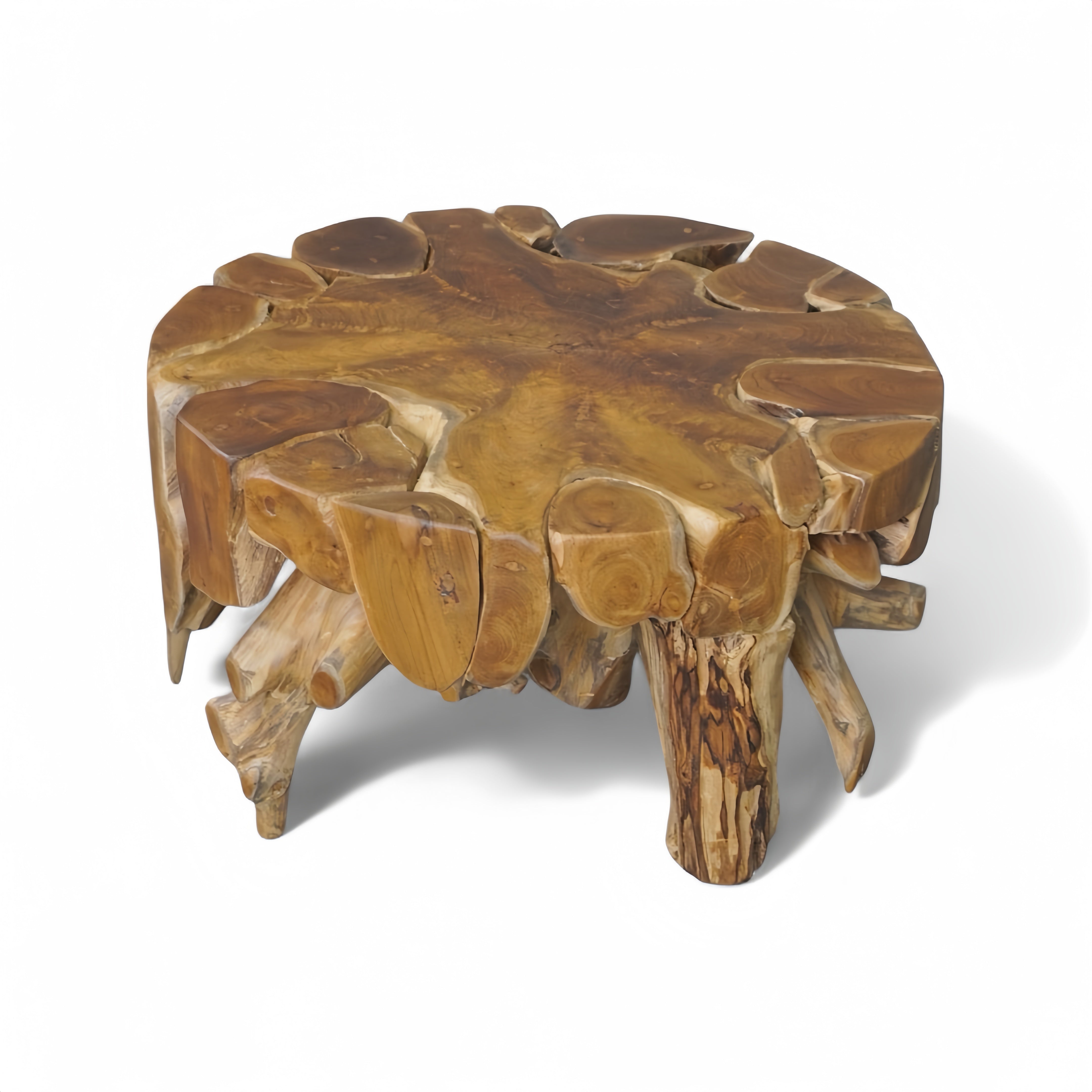 WO.5 Teak Root Coffee Table