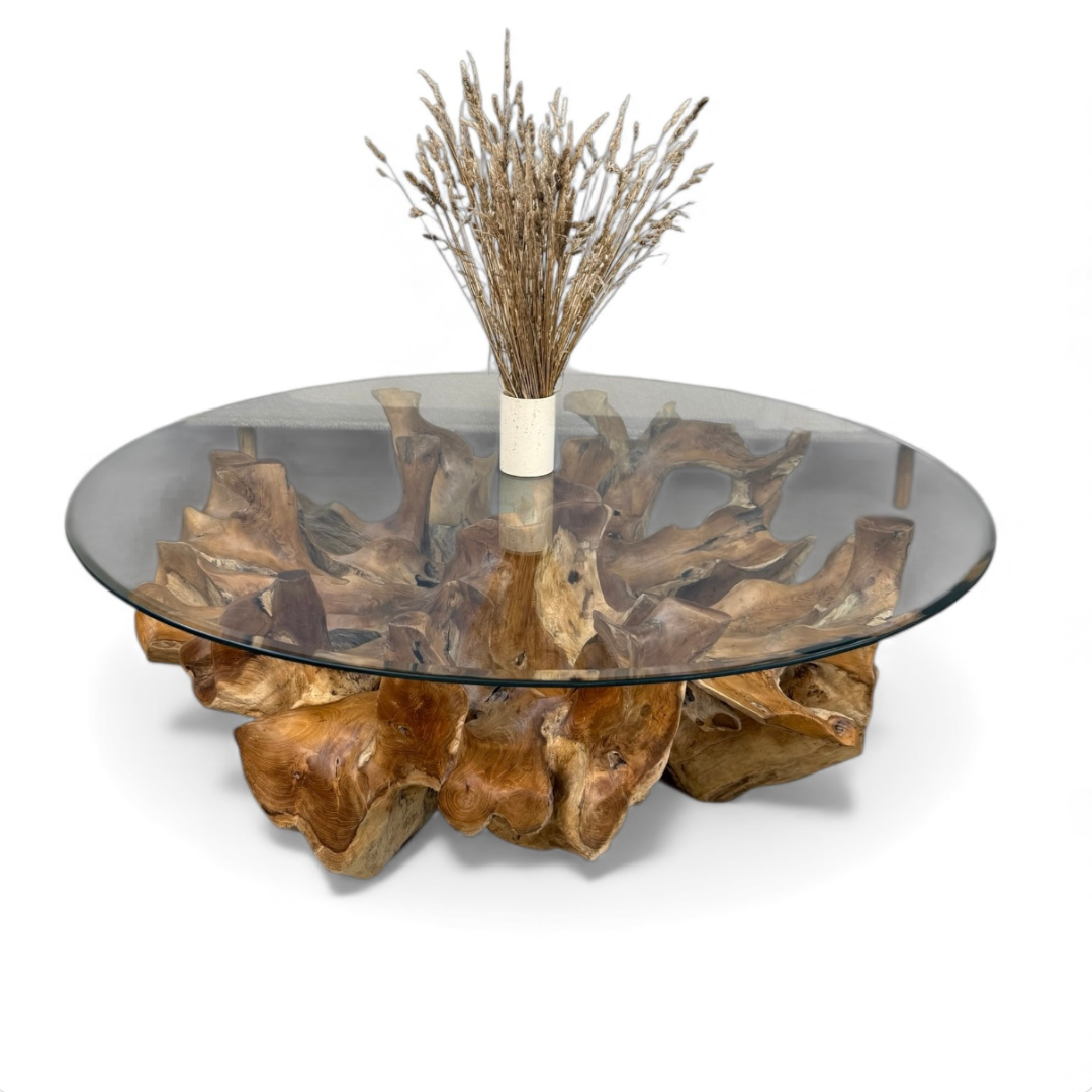 WO.4 Teak Root  Coffee Table with Clear Glass