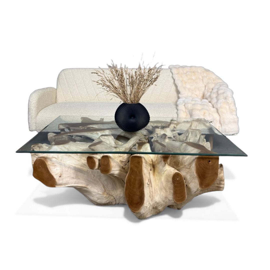 WO.6-1 Kavos staliukas iš tikmedžio šaknies su stiklu